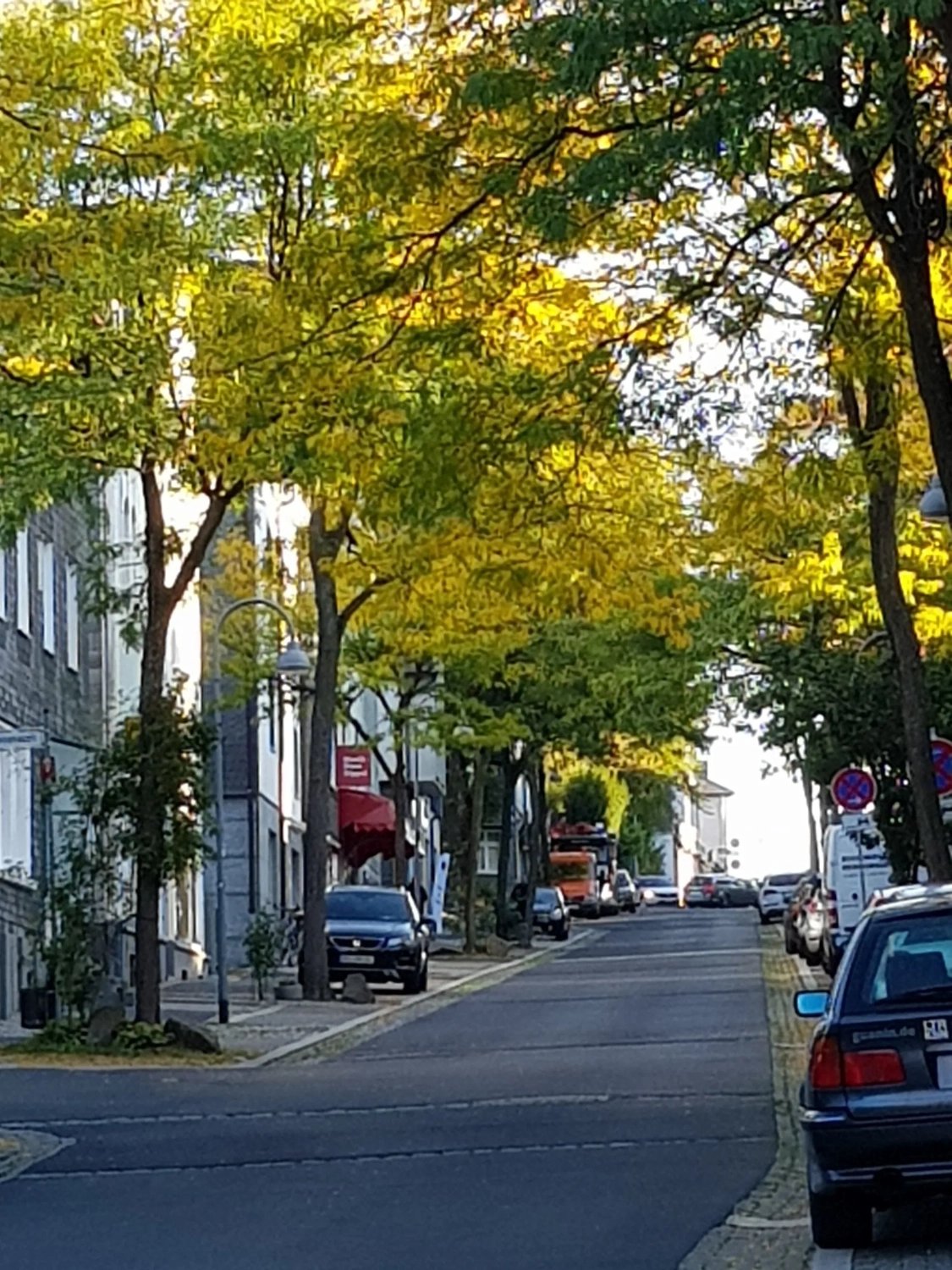 Mi Casa-Dein zu Hause - Familien- und Seniorenbetreuung - Blick auf eine ruhige europäische Straße mit mehrstöckigen Gebäuden und üppig grünen und gelben Bäumen. Ein schwarzes Auto parkt am Straßenrand, die Straße steigt sanft zum hellen Himmel an.